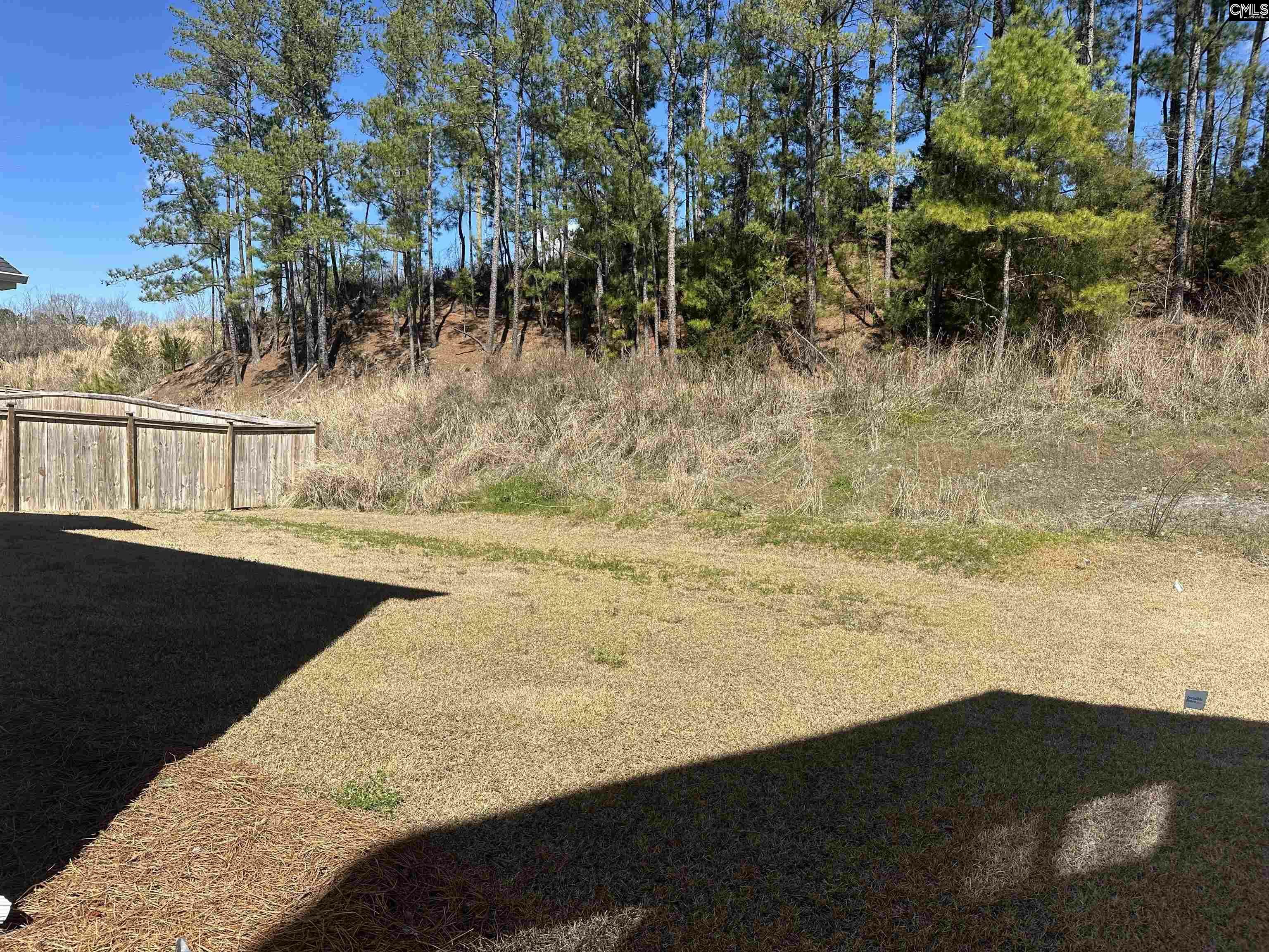 Property Photo: 433 Outer Banks SC 29072