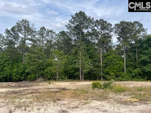 Property Photo:  Fyf 3 Fox Young Rd Fyf 3  SC 29164 