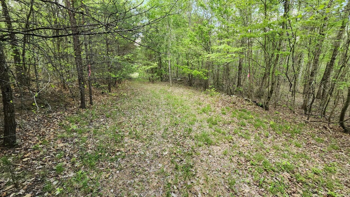 Property Photo: 0 Old Holy Water Road TN 37387