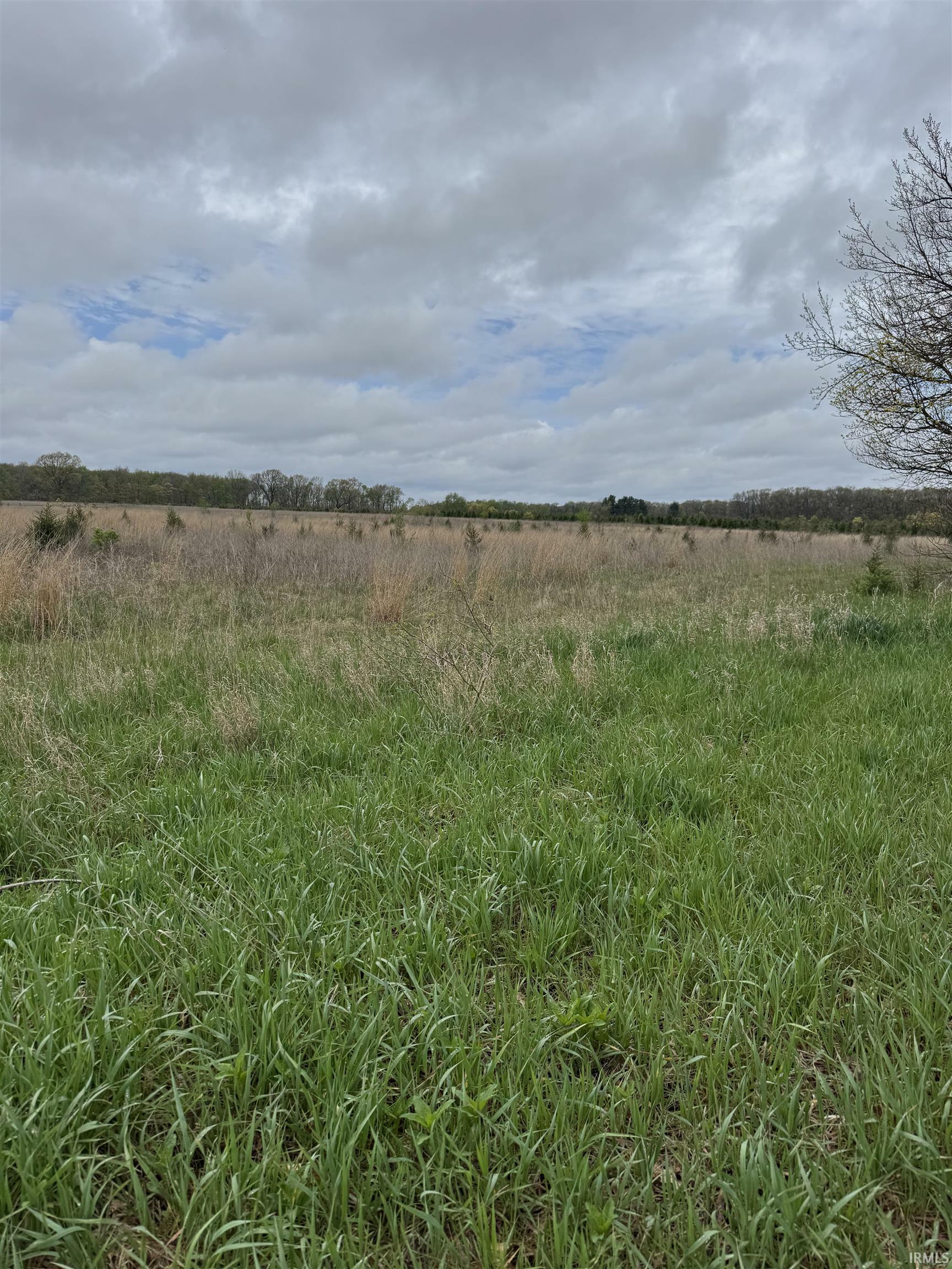 Property Photo: 900 E Road IN 46574