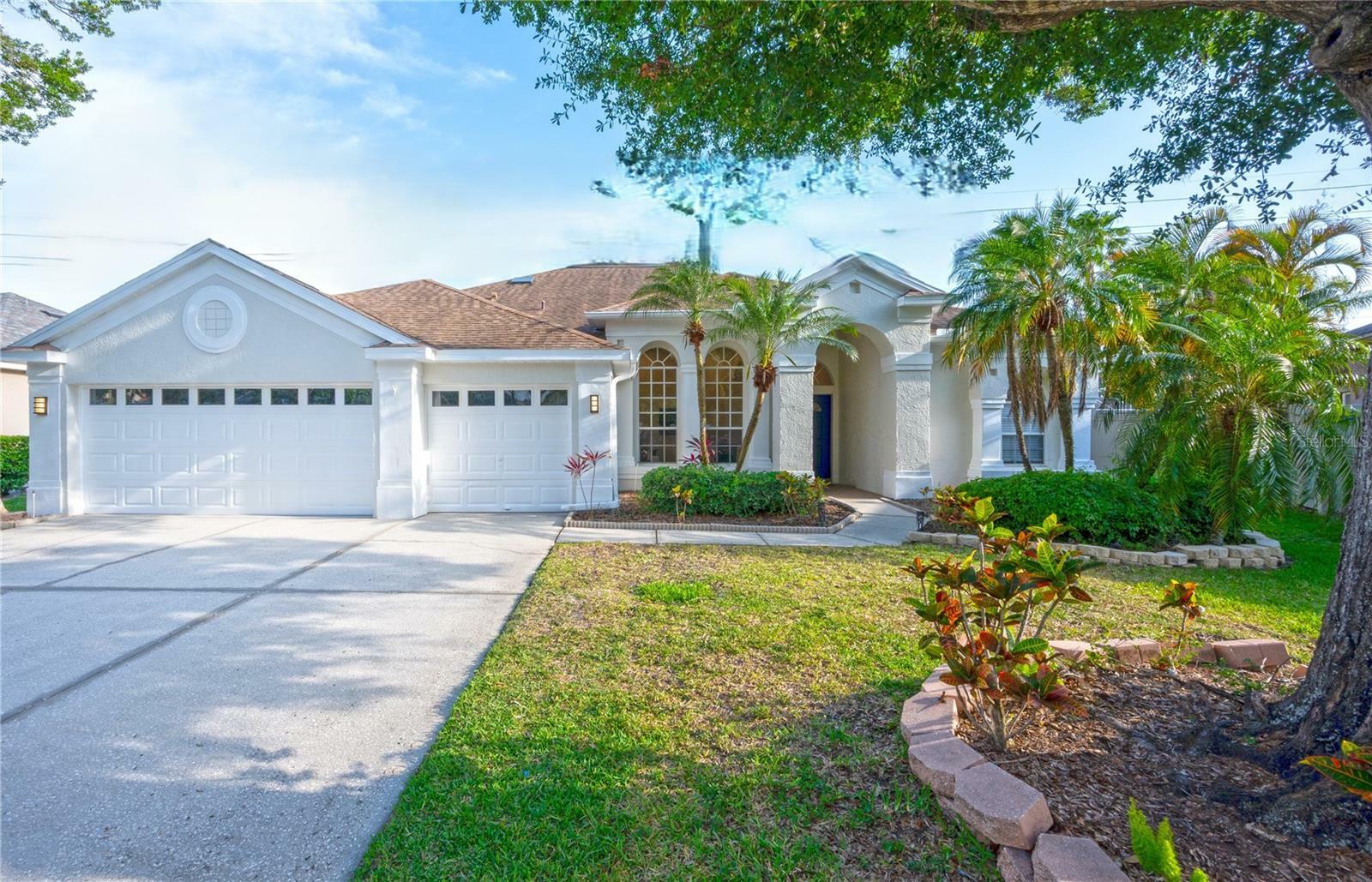 12408 Seabrook Drive  Tampa FL 33626 photo