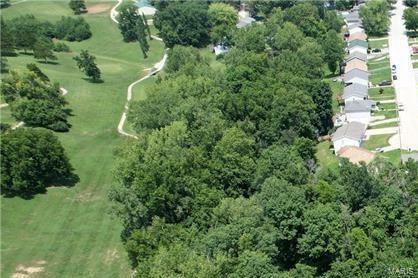 Property Photo: 1 Lot 1 Ismail Estates MO 63401