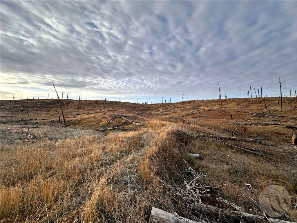 Property Photo:  Tbd Buckskin Road  MT 59072 