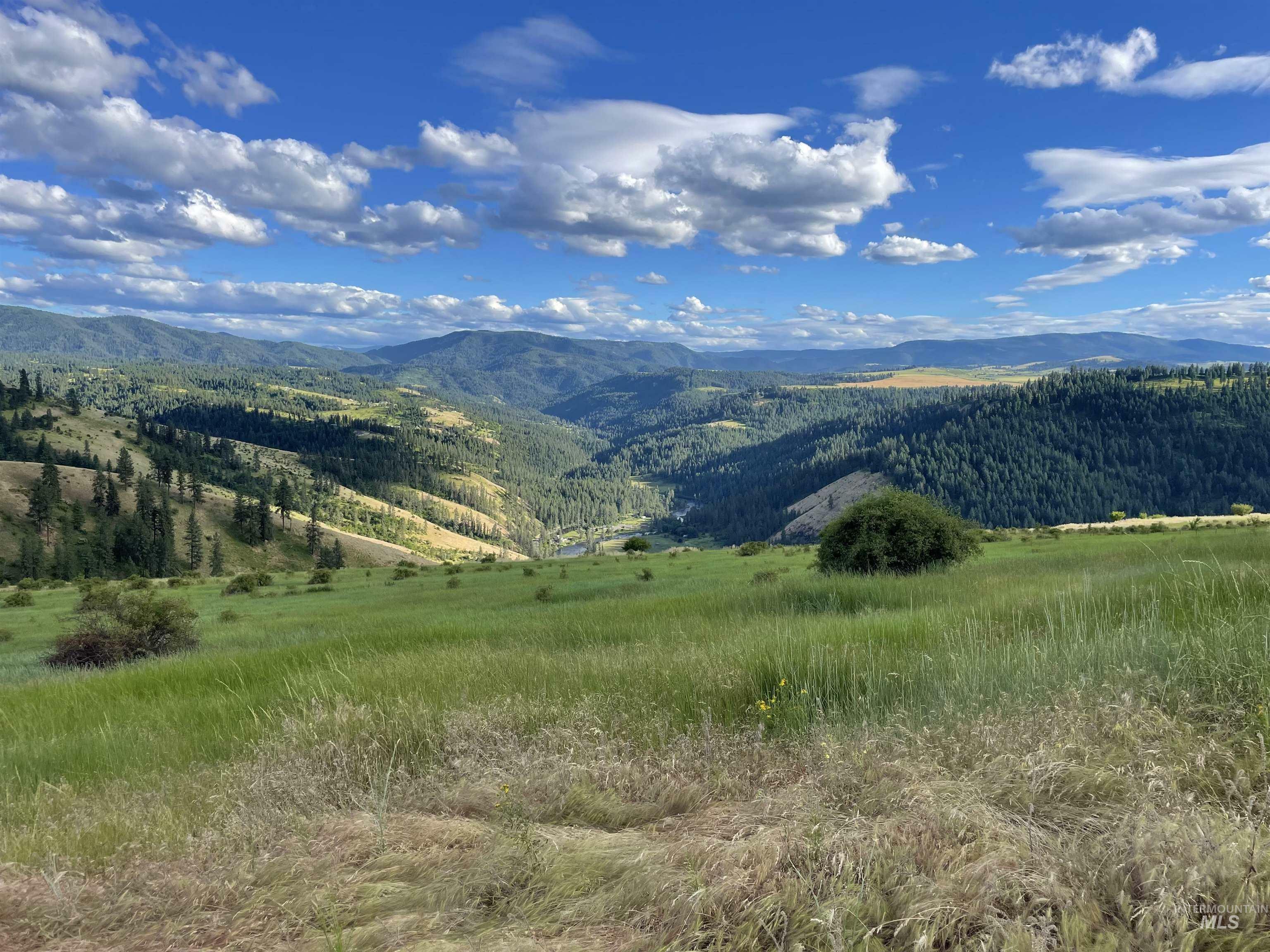 Property Photo: Tbd Brotnov Rd. ID 83552