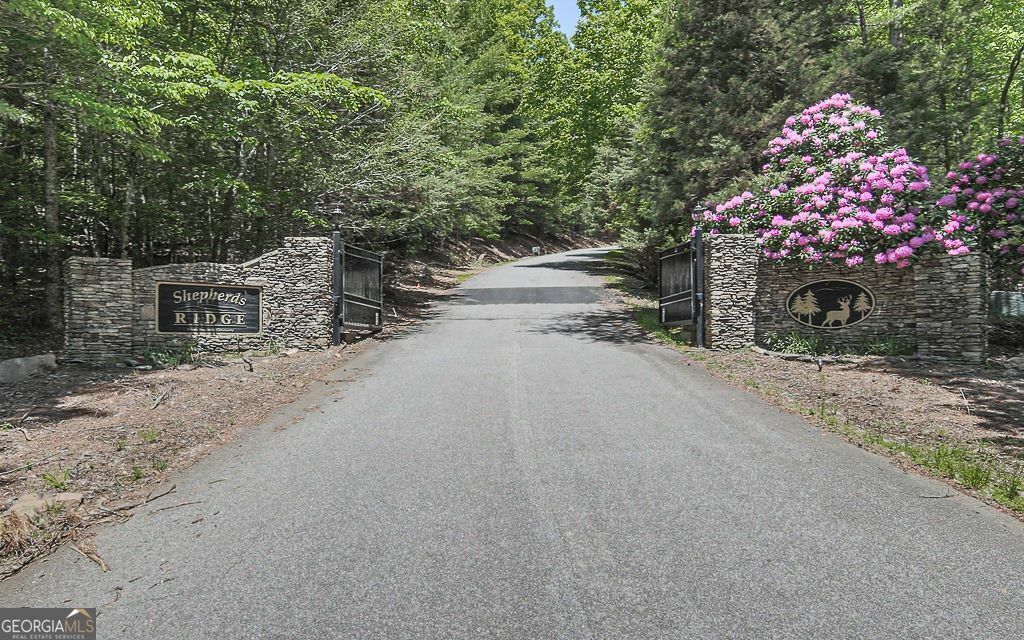 Property Photo: 366 Shepherds Way GA 30560