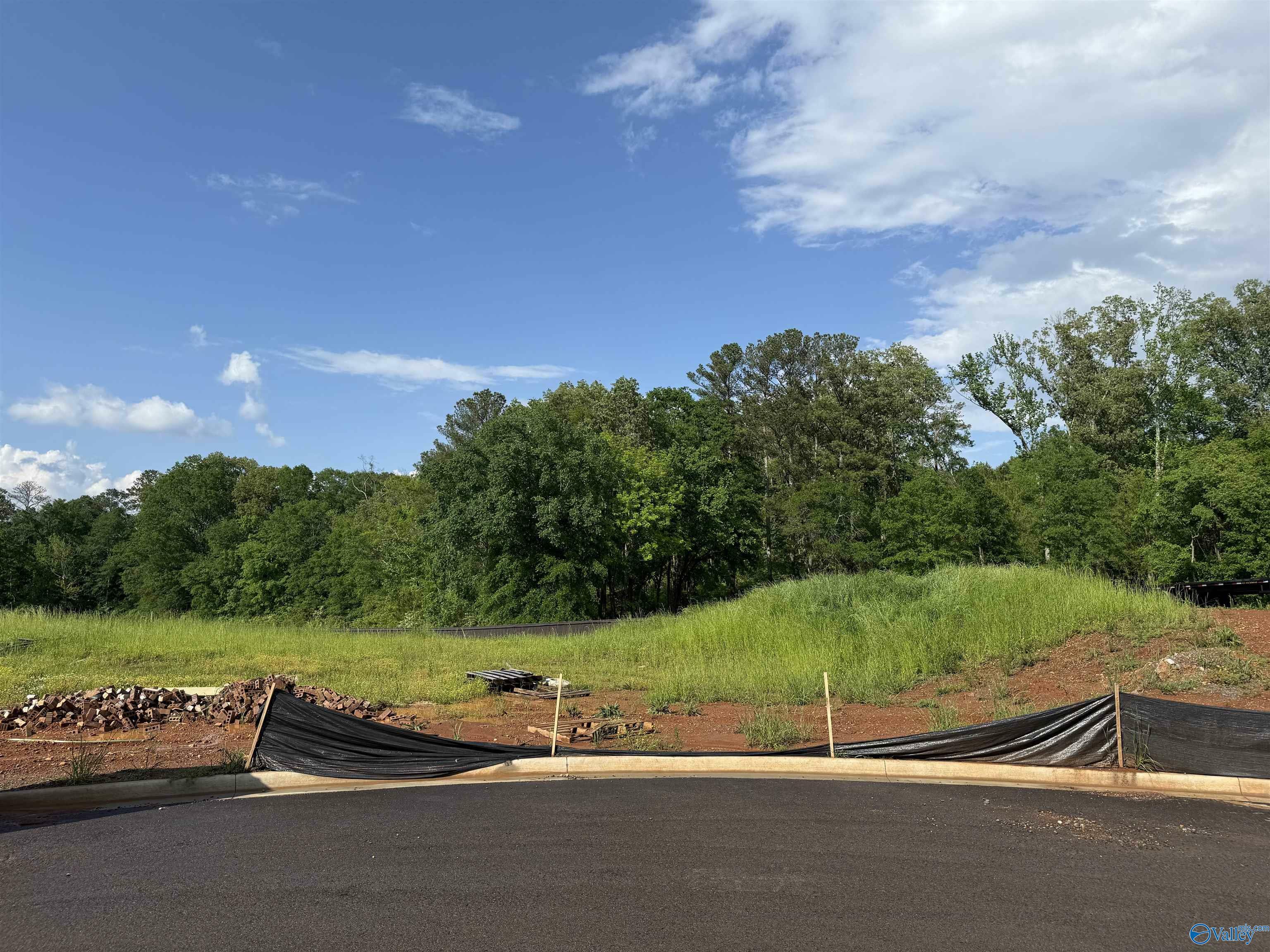 Property Photo: Lot 8 Tumbleweed Drive AL 35976