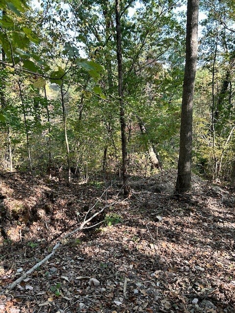 Property Photo: Lot 16, Block 2 Judy Drive AR 72715