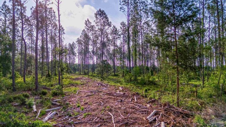 Property Photo:  0005 Martin Rd  FL 32570 