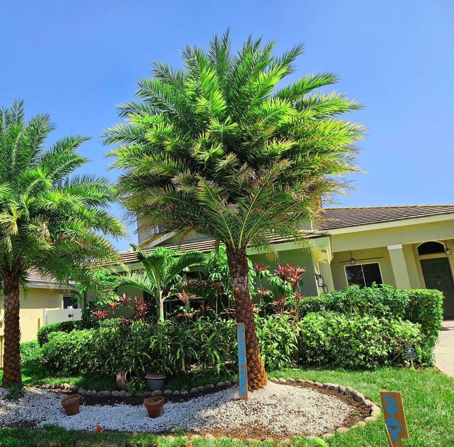 Property Photo:  7861 Manor Forest Lane  FL 33436 