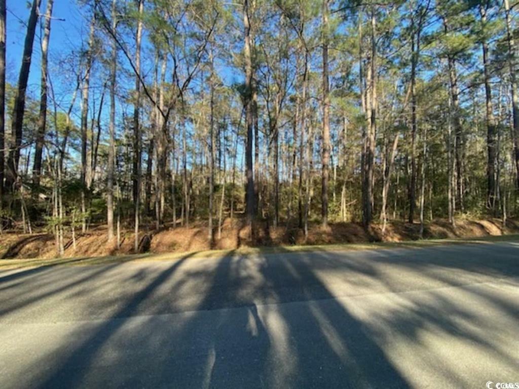 Property Photo: 13 Myrtlewood Dr. NC 28467