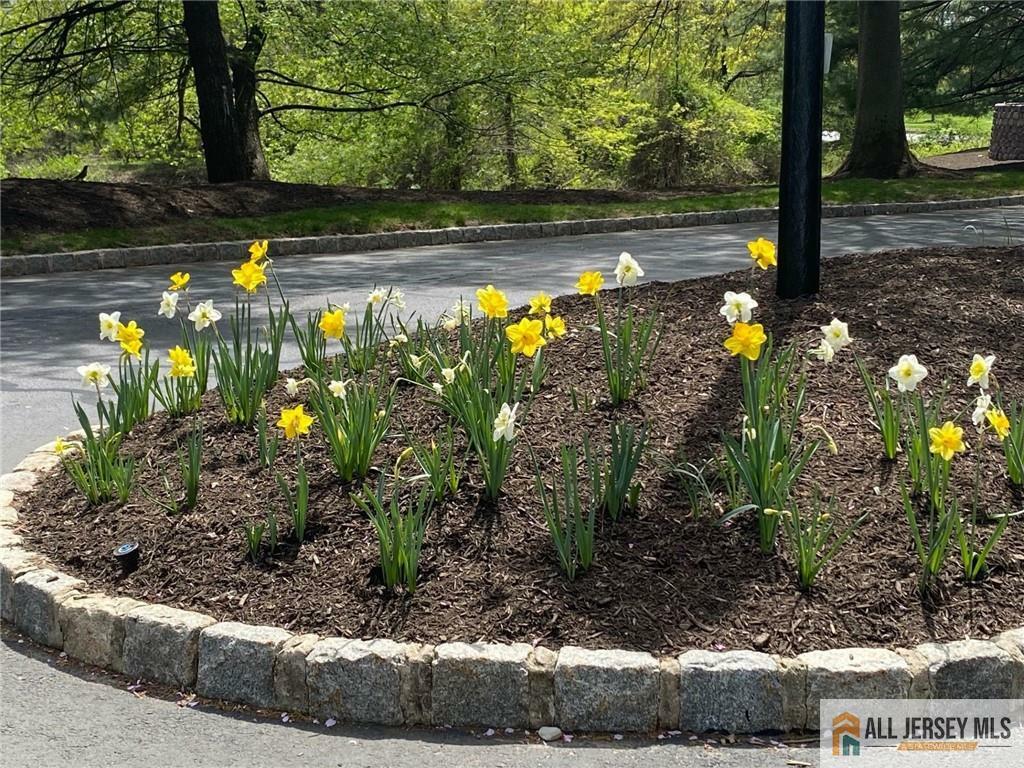 Property Photo: 121 Waterford Drive NJ 08817