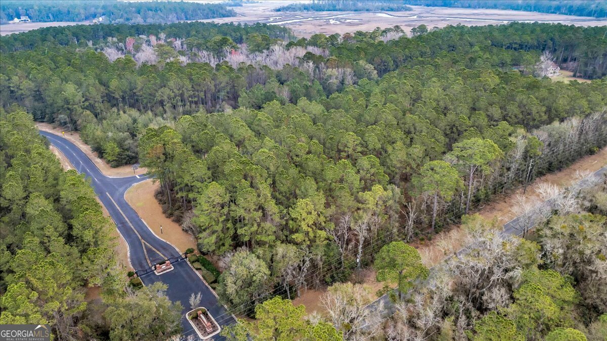 Property Photo: Lot 83 Fiddlers Cove GA 31331