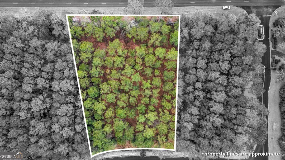 Property Photo:  Lot 83 Fiddlers Cove  GA 31331 