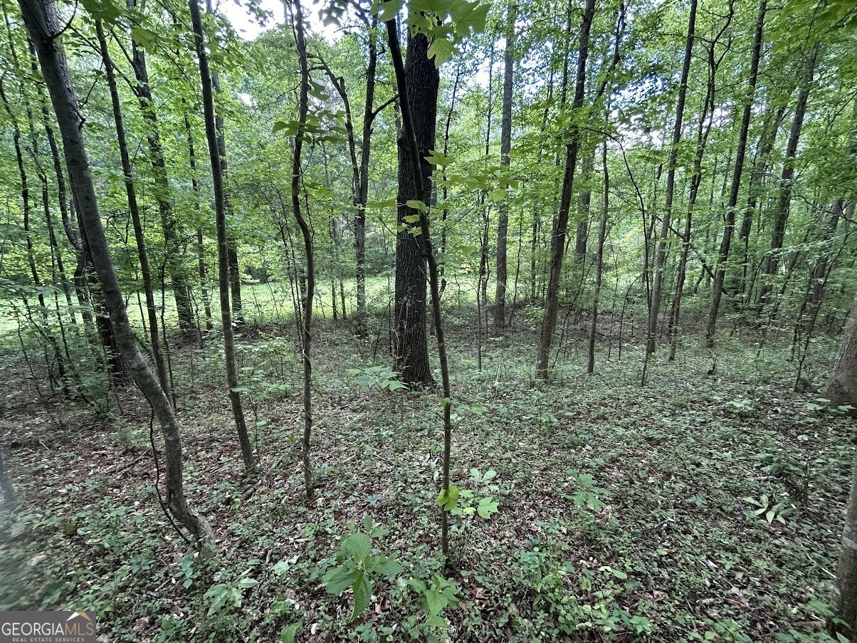 Property Photo: 0 Hog Liver Road GA 30117
