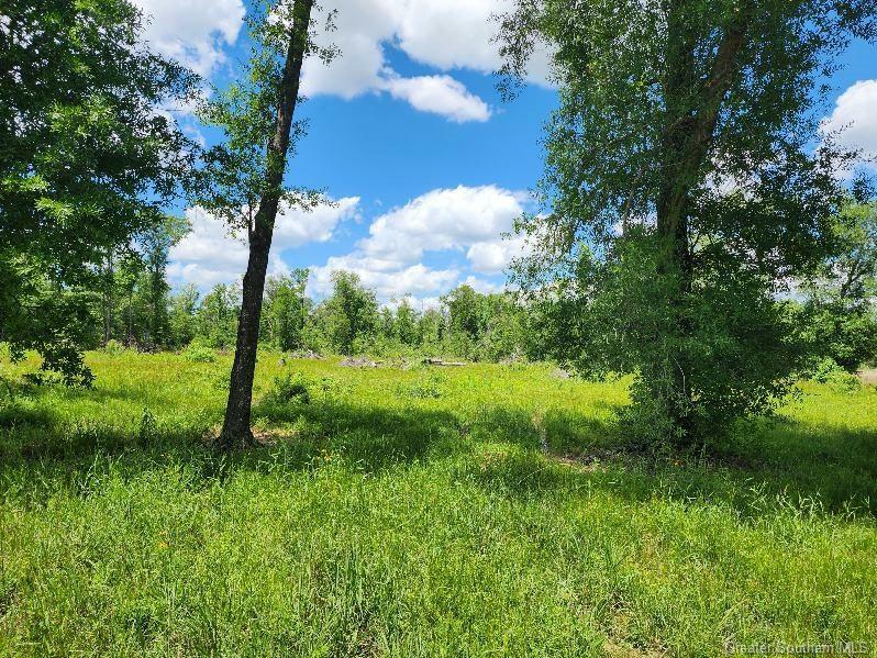 Property Photo: 380 Andrew Mouhot Road LA 70657