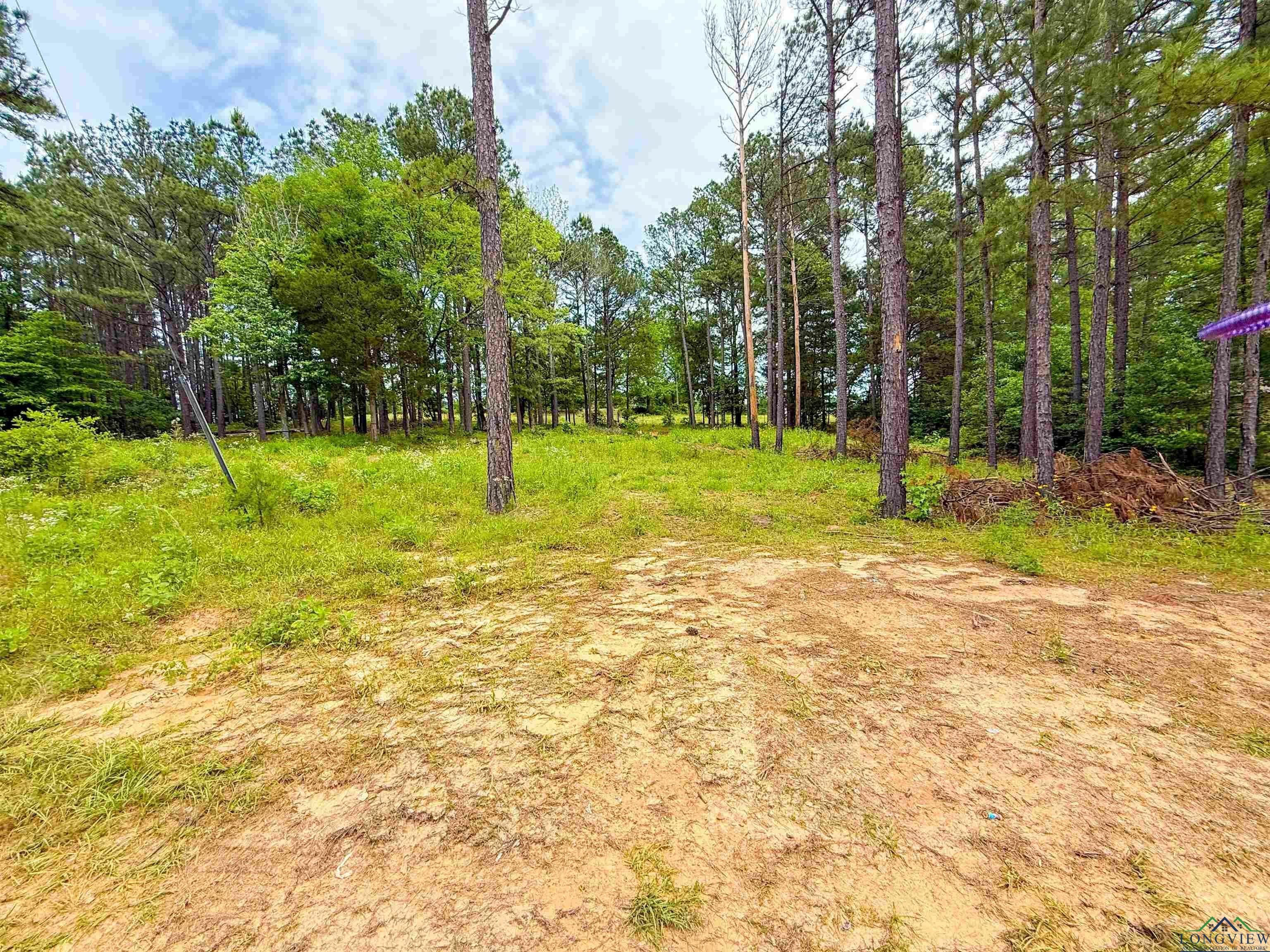 Property Photo: Tbd Cr 128 TX 75684