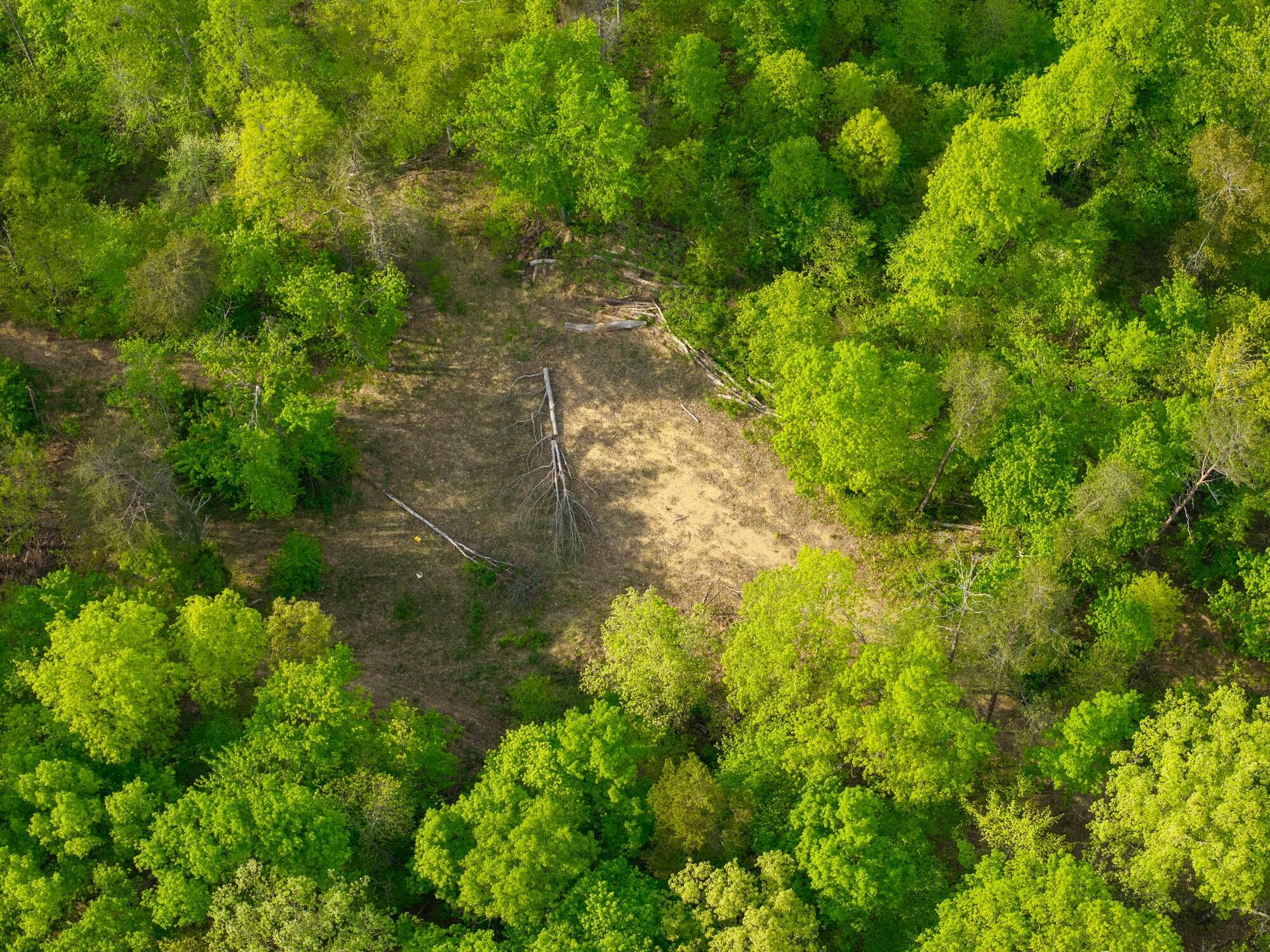 Property Photo: 9999 Ember Road KY 40445