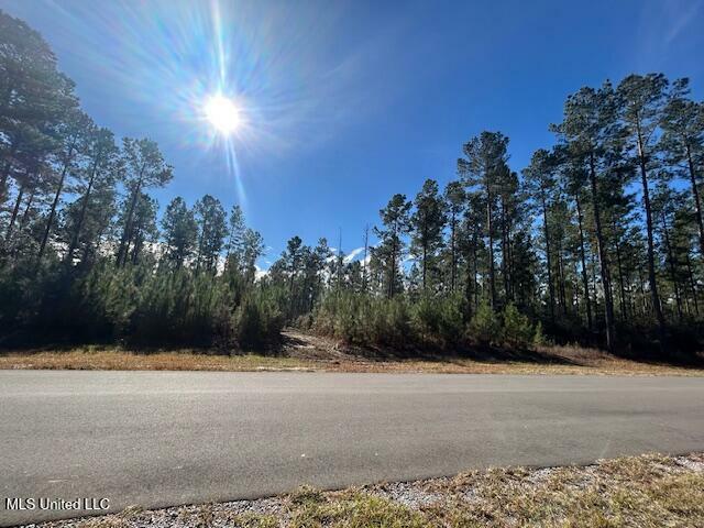 Property Photo: 0 Hunt Rd MS 39565