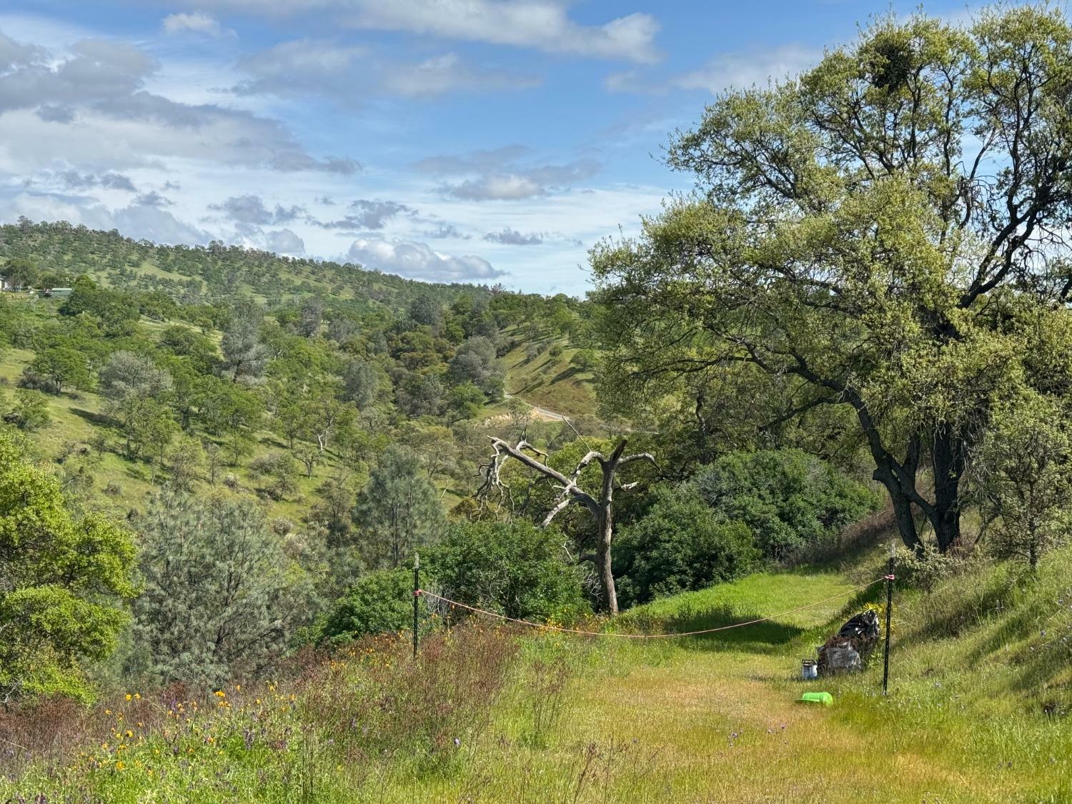 Property Photo: 679 Zarzamora CA 95329