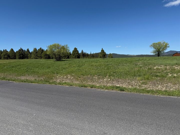 Xxx Pinebrook Dr  Chewelah WA 99109 photo