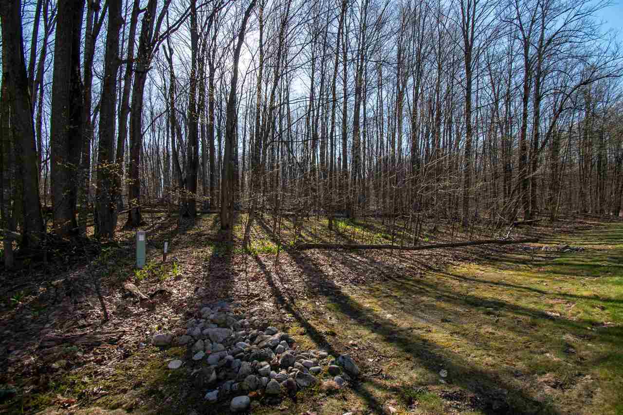 Property Photo: Tbd Klein Strasse Lot 15 MI 49615