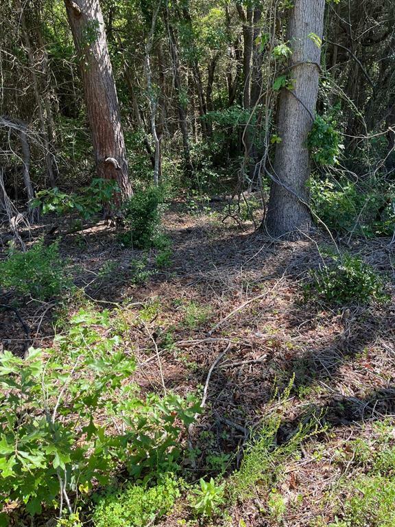 Property Photo: 0000 Fm 1801 TX 75773