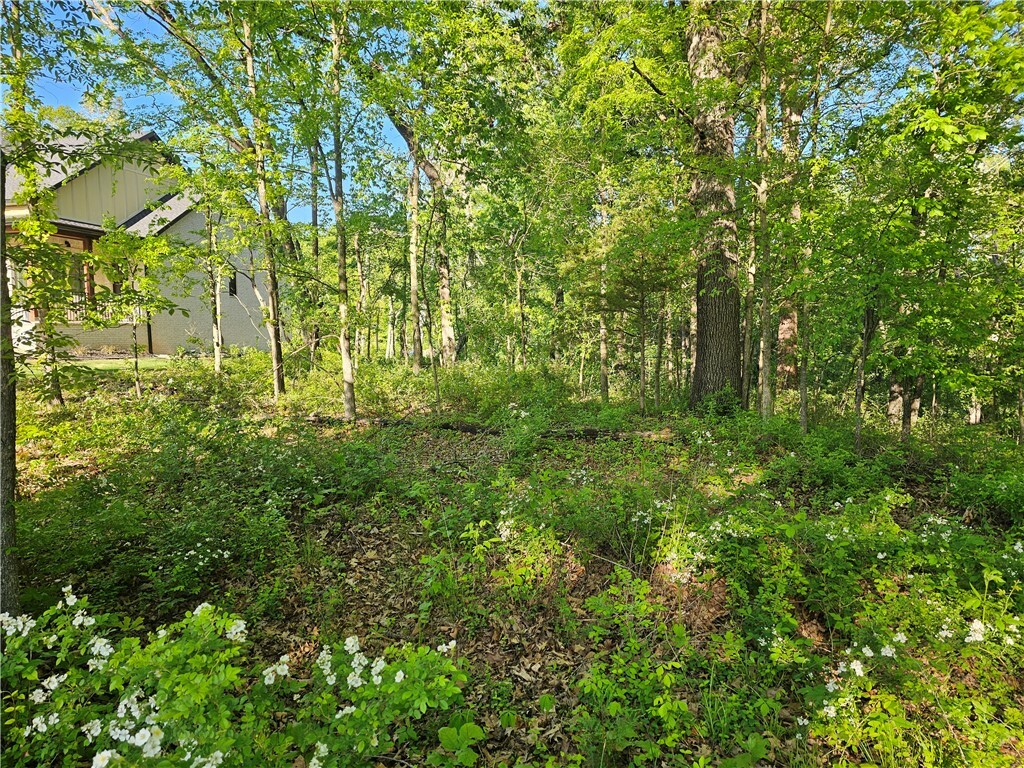 Property Photo: Tbd Lot 47 Joe Lane AR 72756