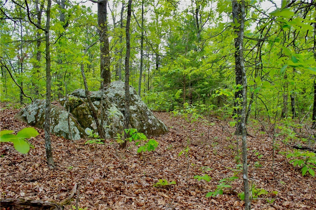 Property Photo:  000 Dunkard Road  AR 72601 