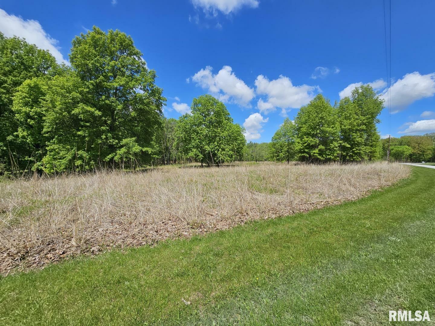 Property Photo: Lot 41 N Deer Park Drive IL 62830
