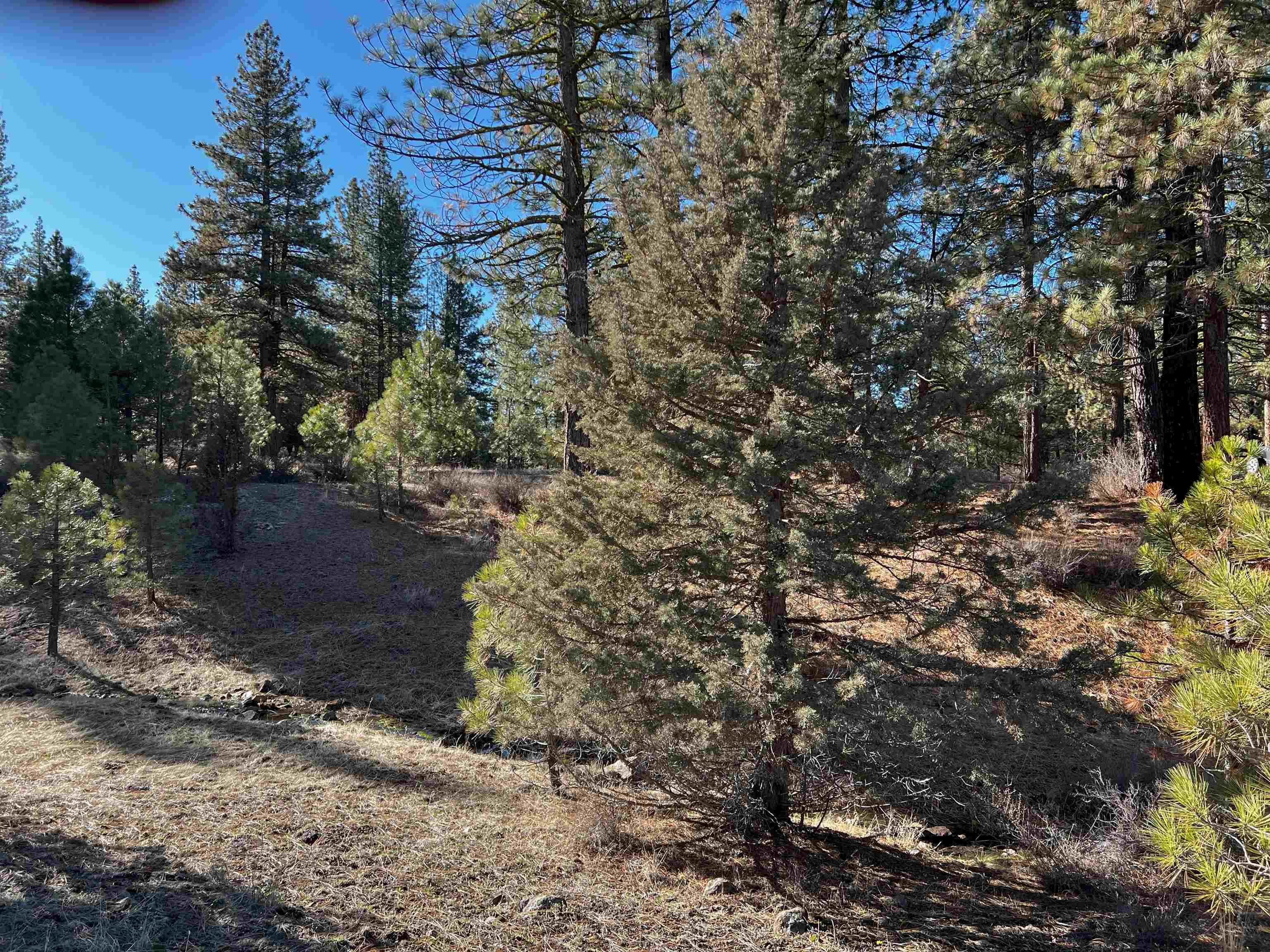 Property Photo: 450 Emerald Point CA 96161