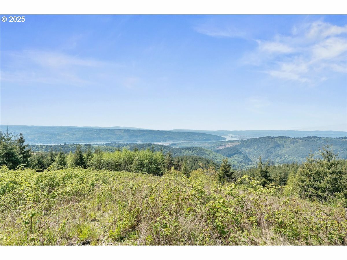 Property Photo:  0 Lot 6 Garnet Rd  WA 98625 