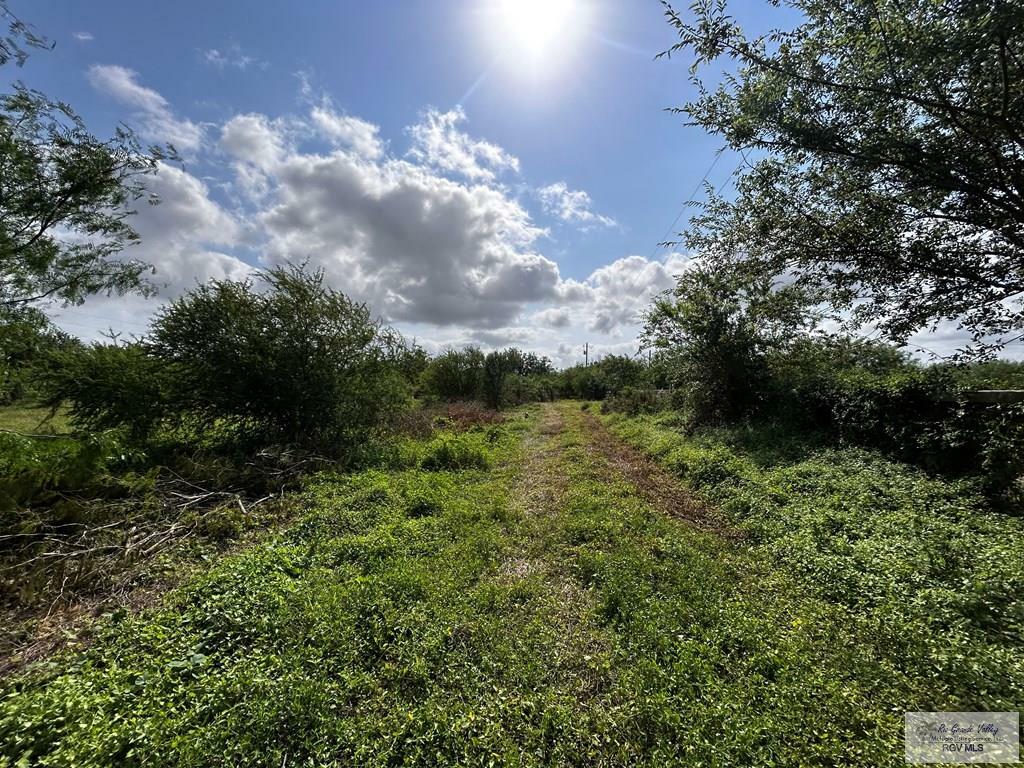 Property Photo: 27853 Fm 803 TX 78566