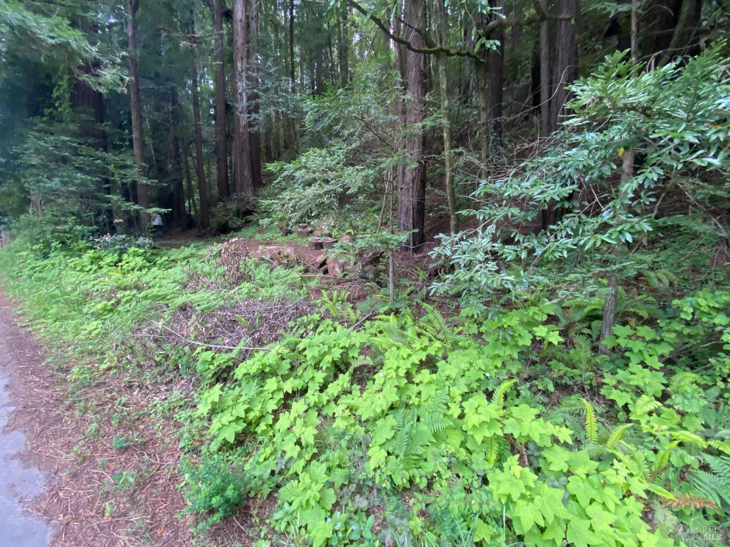 Property Photo: 925 Cazadero Highway CA 95421