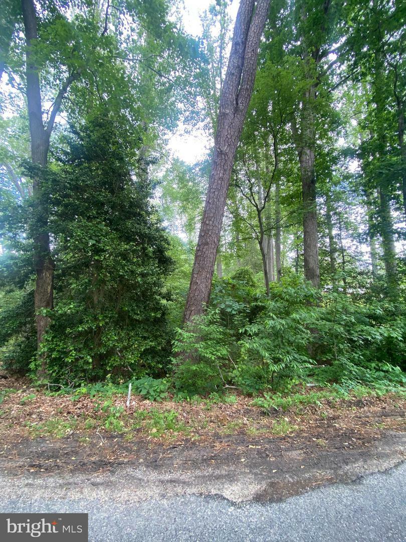Property Photo: Dry Bridge Rd VA 22546