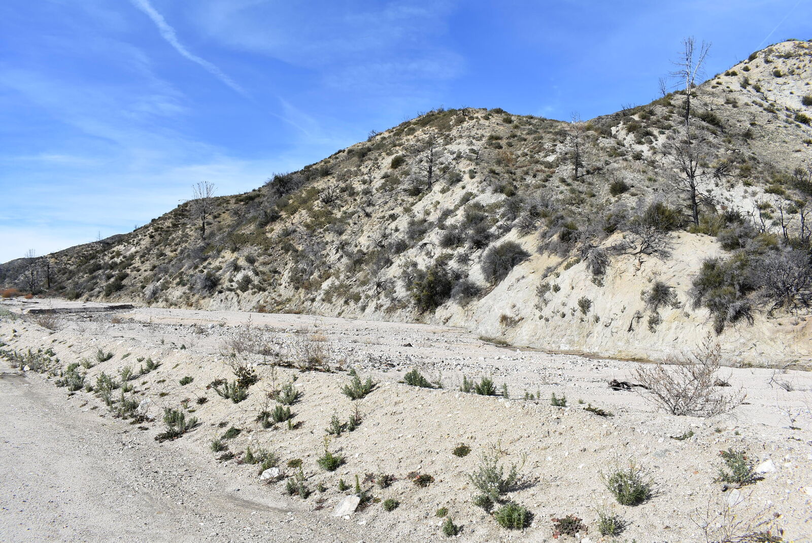 Property Photo:  20661 Pine Canyon Road  CA 93532 