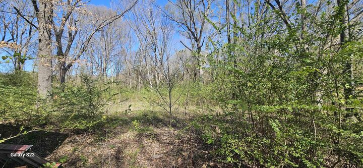 2415 Fm 17  Alba TX 75410 photo