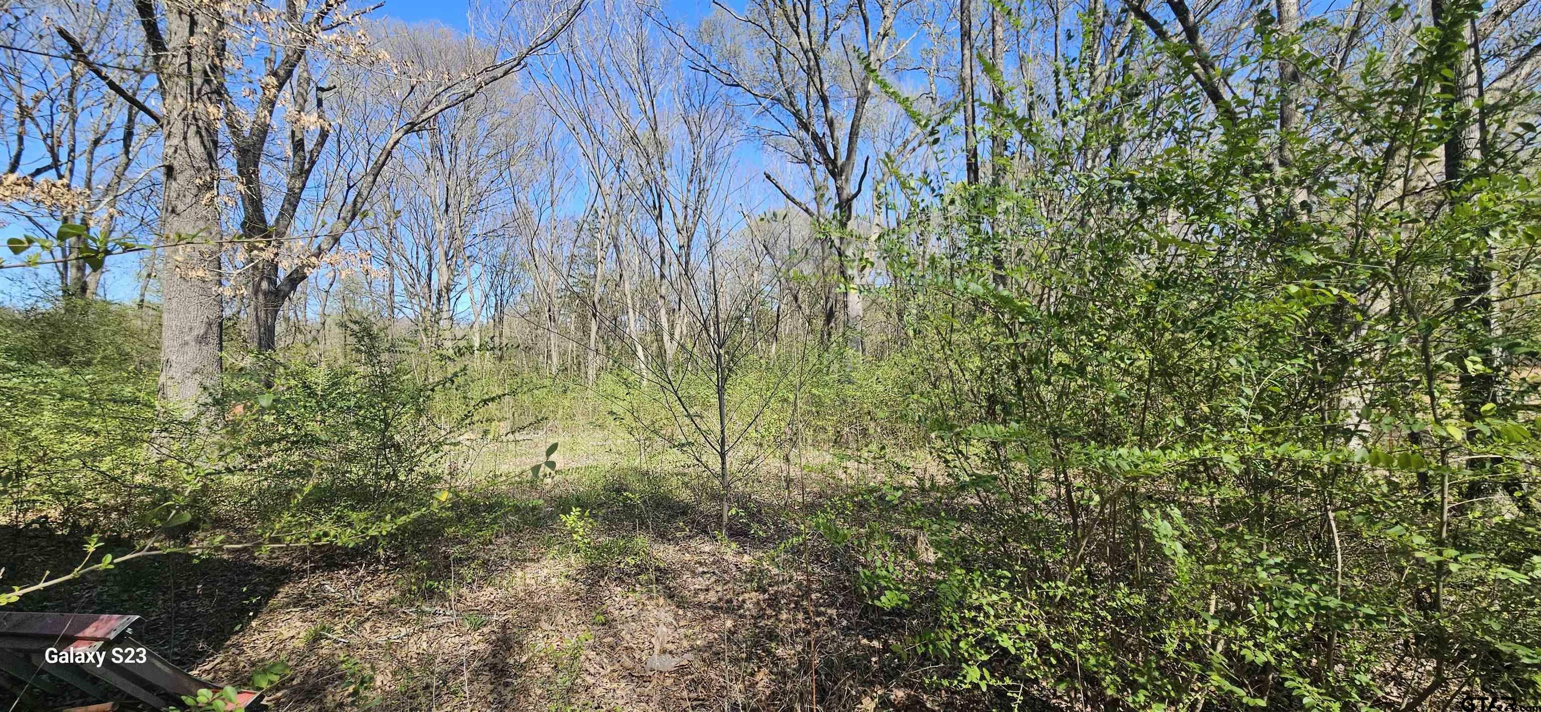 Property Photo: 2415 Fm 17 TX 75410