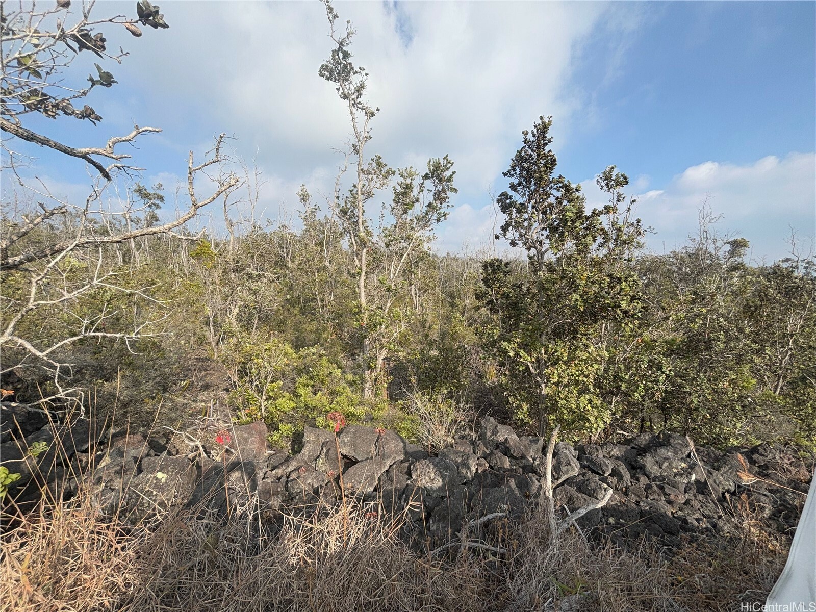 Property Photo: 0 Tiki Lane HI 96737