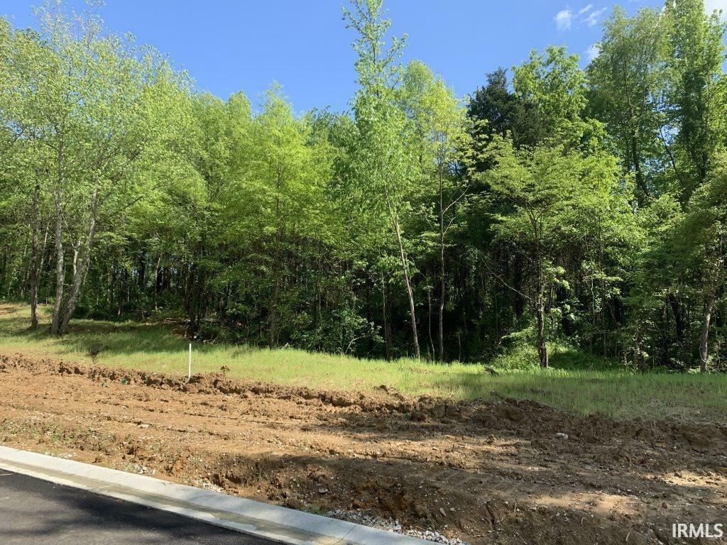 Property Photo: Lot 68 Drive IN 47725