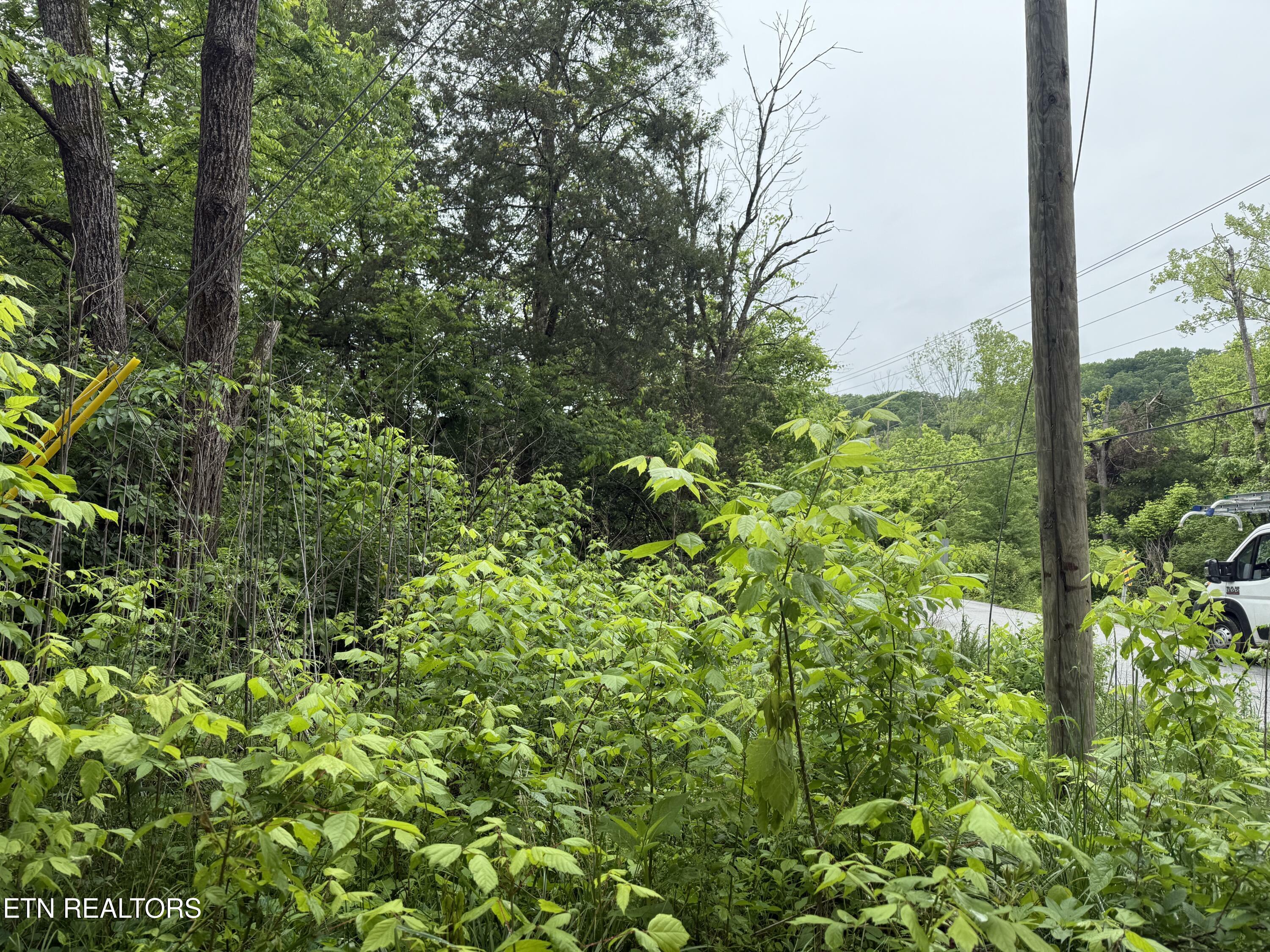 Property Photo: 1205 Everett Rd TN 37932