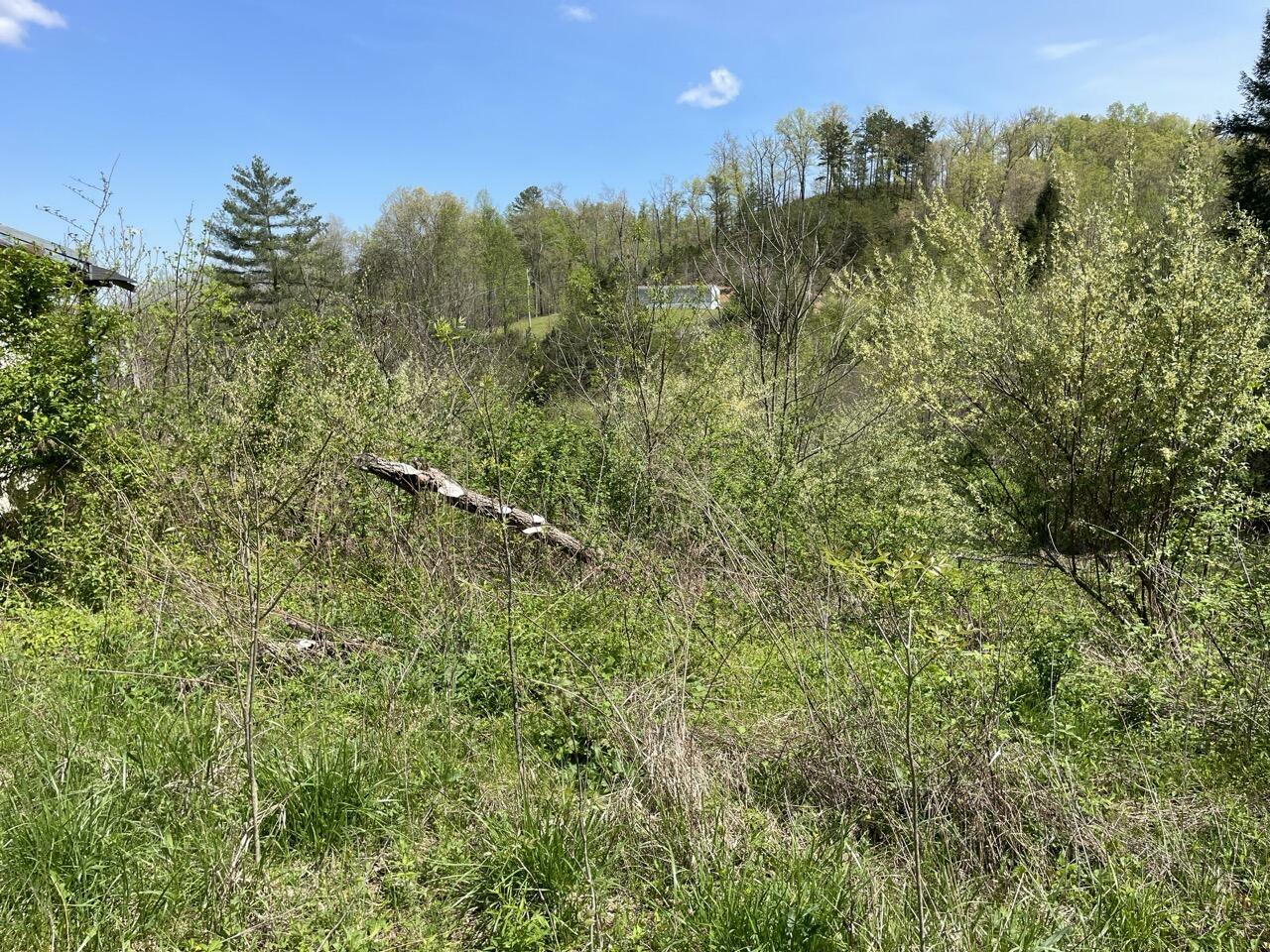 Property Photo: 654 Napier Hollow Road KY 40962