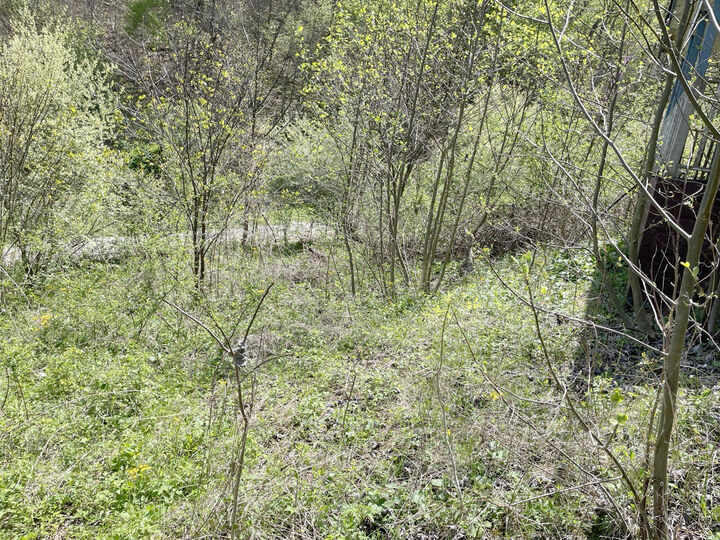 Property Photo:  654 Napier Hollow Road  KY 40962 