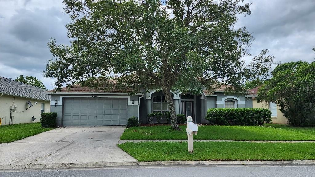 29042 Rivergate Run  Wesley Chapel FL 33543 photo