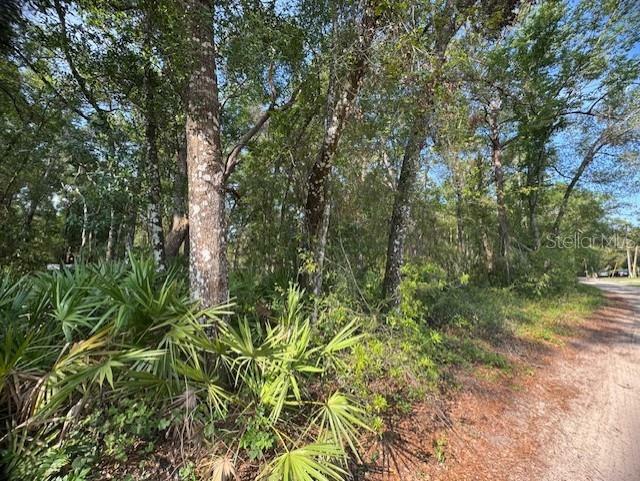Property Photo: 4819 SW 123 Road FL 33597