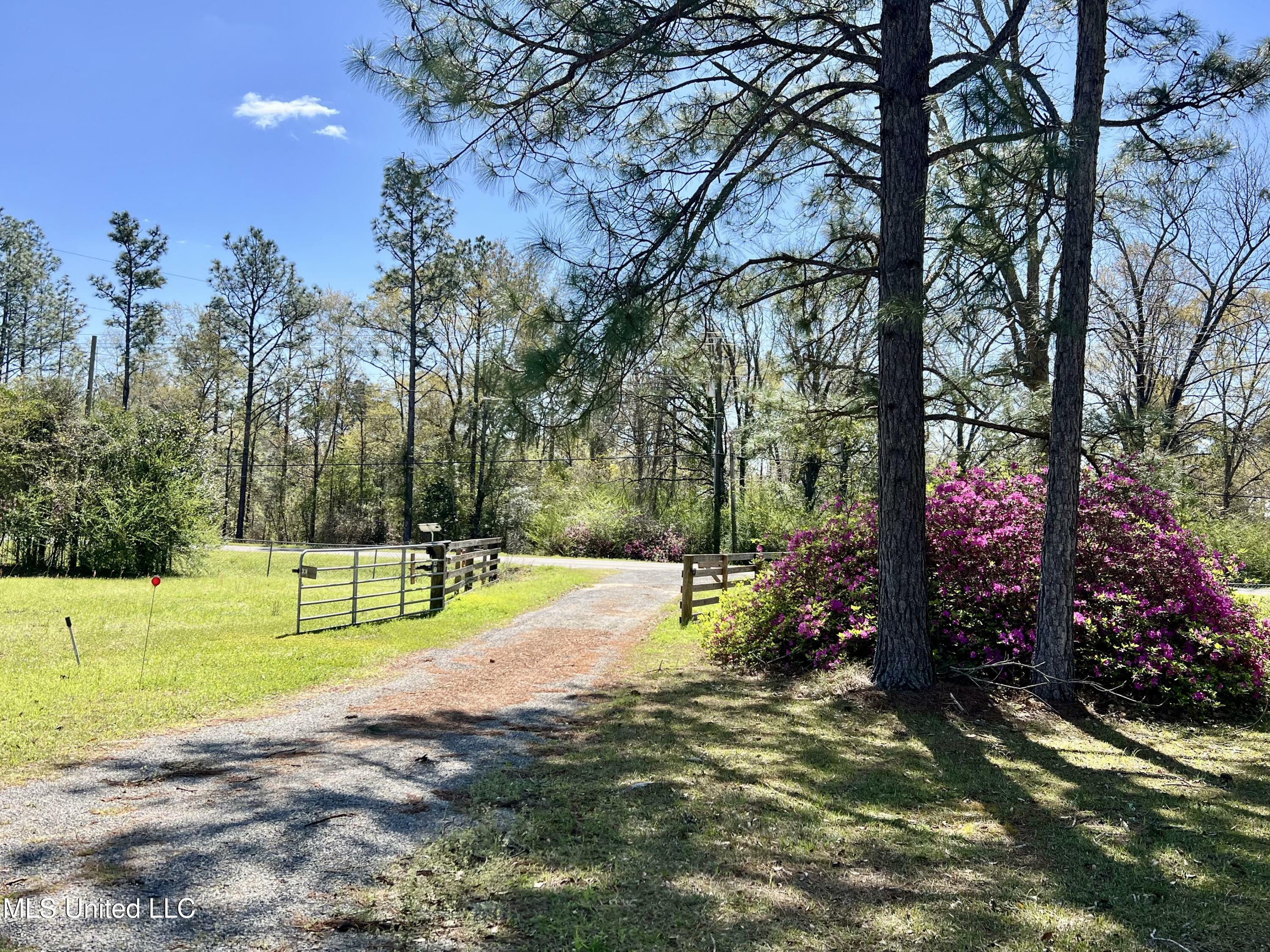 Property Photo: 2221 Brushy Creek Road MS 39452
