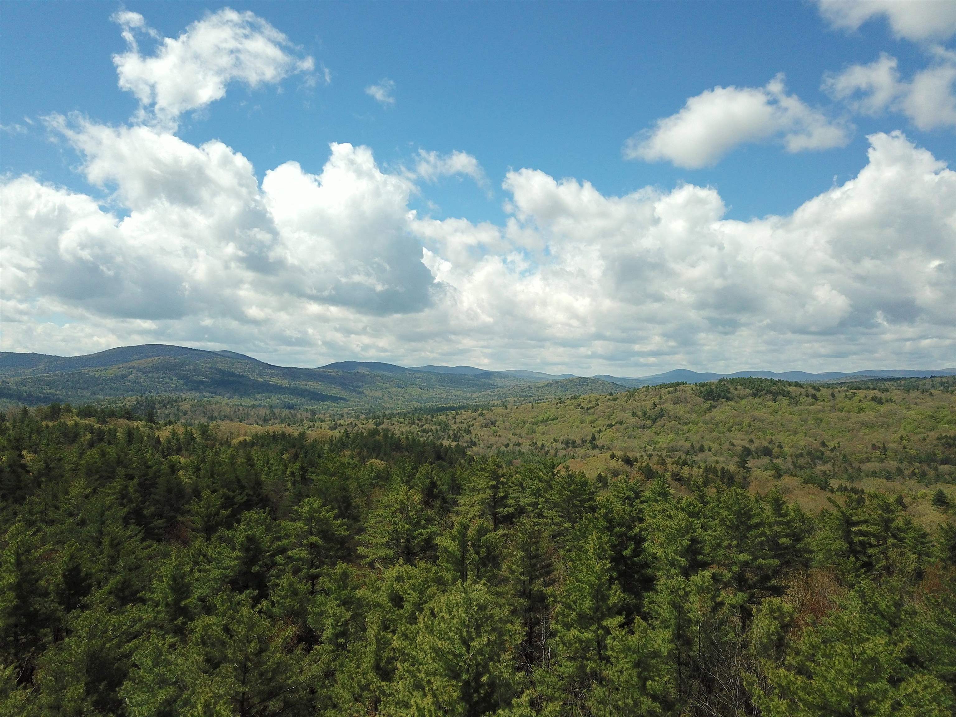 Property Photo: 000 Kearsarge Mt Road NH 03278