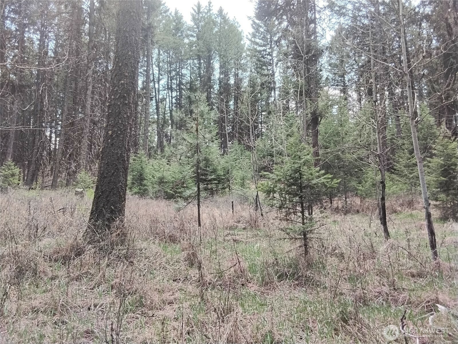 Property Photo: 44 Trapline Loop Road WA 98844