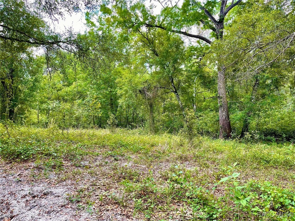 Property Photo: Tbd Cortez Boulevard FL 33523