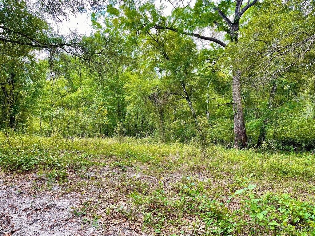 Property Photo:  Tbd Cortez Boulevard  FL 33523 