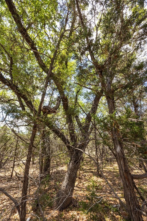 21 Sitting Bull Road  Wimberley TX 78676 photo